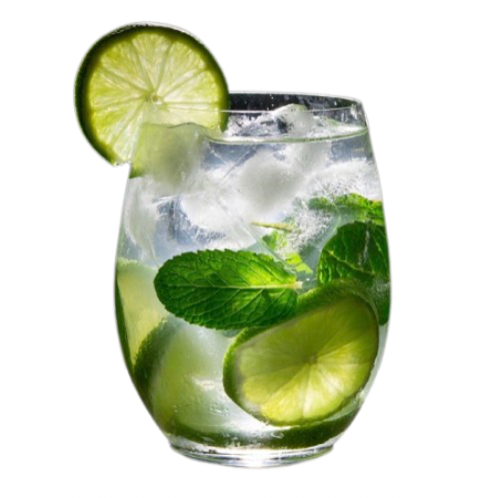 330. MOJITO