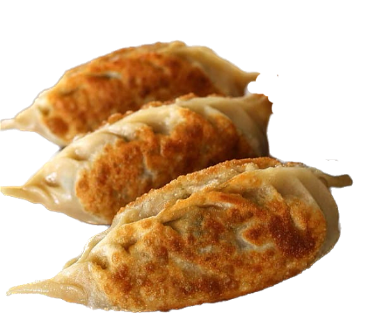 FREE8 - Korean beef dumpling (5 st./pcs.)