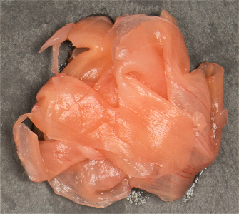Ginger