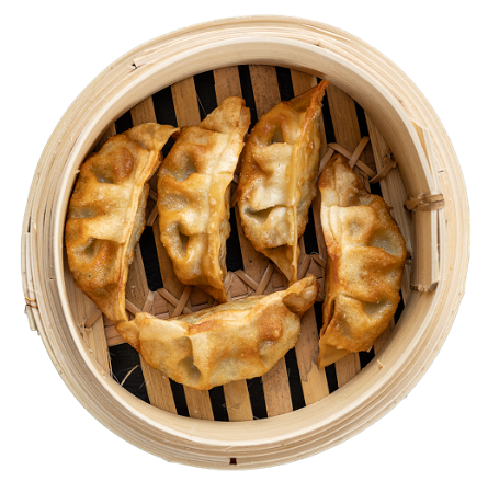 Fried Chicken Gyoza