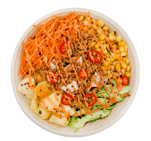 Maandspecial augustus: Spicy Chicken& 