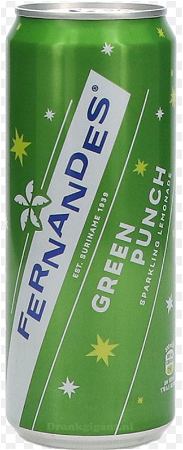 FERNANDES GROEN