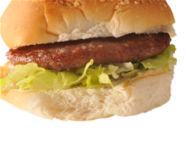 BR. HAMBURGER SPEC