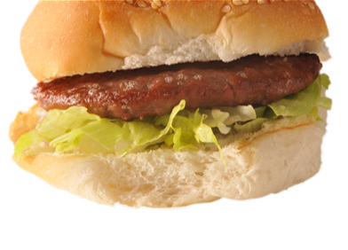 BROODJE VEGA HAMBURGER SPECIAAL