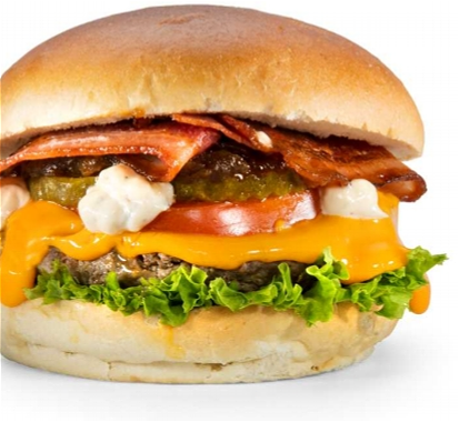BURGER JUICY JOE