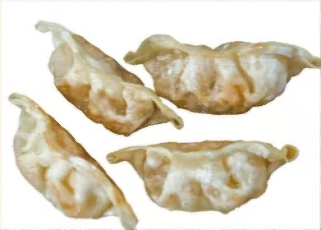 Gyoza kip 4st.