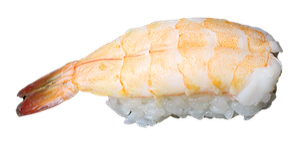 Ebi nigiri