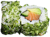 Sake avocado roll