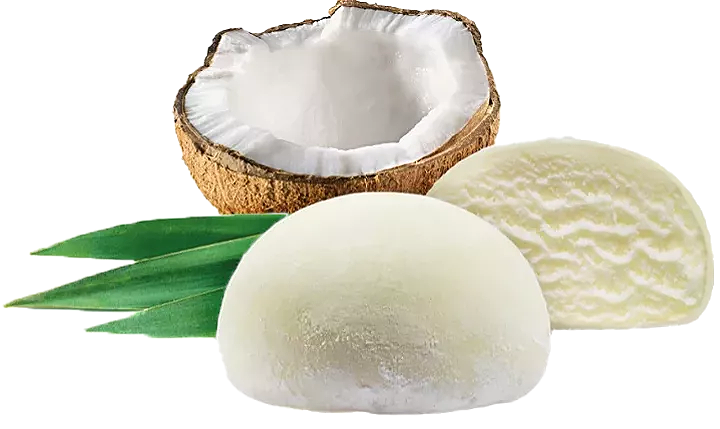 Mochi Kokos 2 stk.