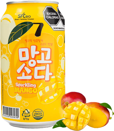 Sparkling Mango Soda 350ml