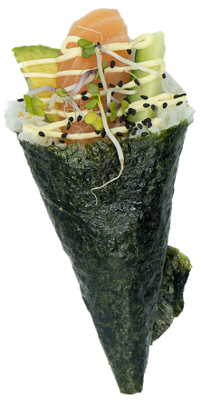 Zalm Temaki