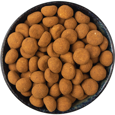 Truffel Kaneel Kruidnoten