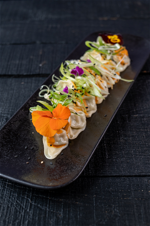 Gyoza Vega