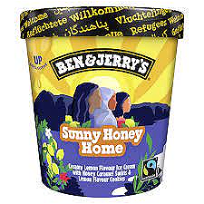 Ben & Jerry's Sunny Honey Home