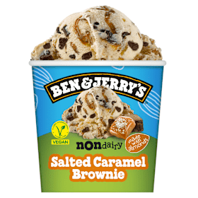 Ben & Jerry's Non-Dairy Salted Caramel Brownie 465ml