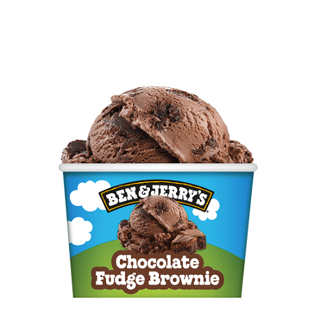 Ben & Jerry's Chocolate Fudge Brownie 100ML