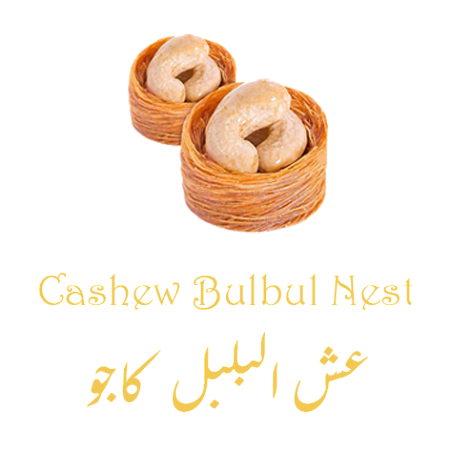 Cashew Bulbul Nest