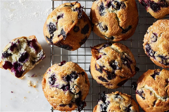 Blueberry Muffin