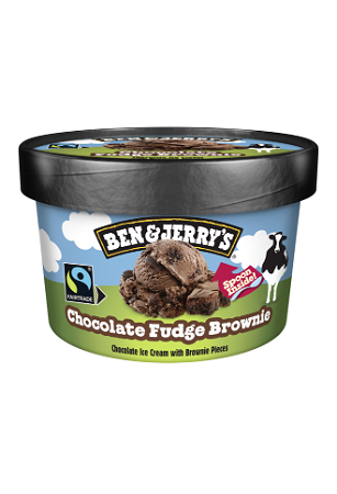 Ben & Jerry's Chocolate fudge brownie