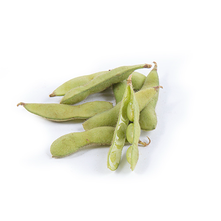 EDAMAME  SOJABONEN 