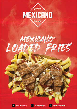 Loaded fries mini mexicano speciaal