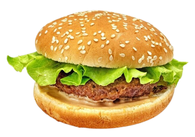Hamburger Halal 