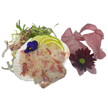 Coquille Tartare w/ Pata Negra