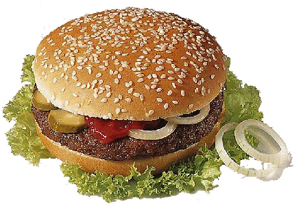 Hamburger Speciaal 
