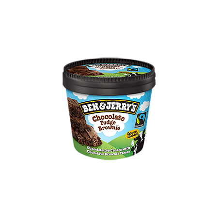 Ben & Jerry's Chocolate Fudge Brownie 100ml