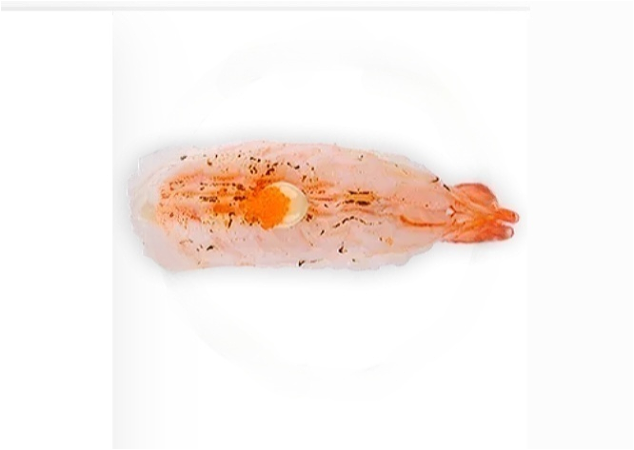 Flamed ebi nigiri