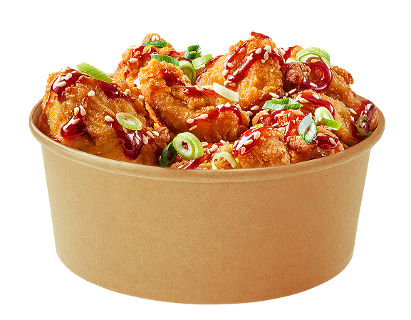 Karaage Chicken (7)