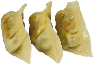 Gyoza