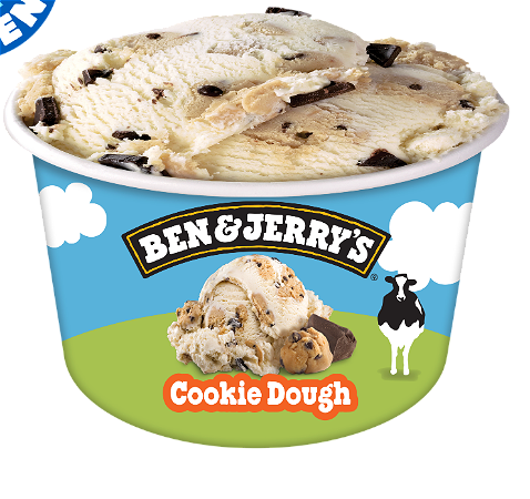 Ben & Jerry double fudge brownie