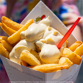 Frites met mayonaise