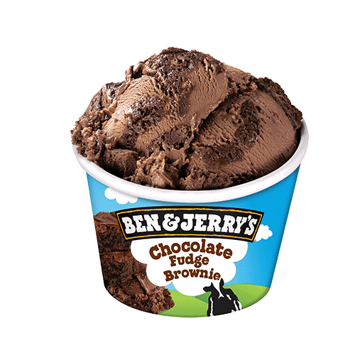 Ben & Jerry's Chocolate Fudge Brownie 100ml