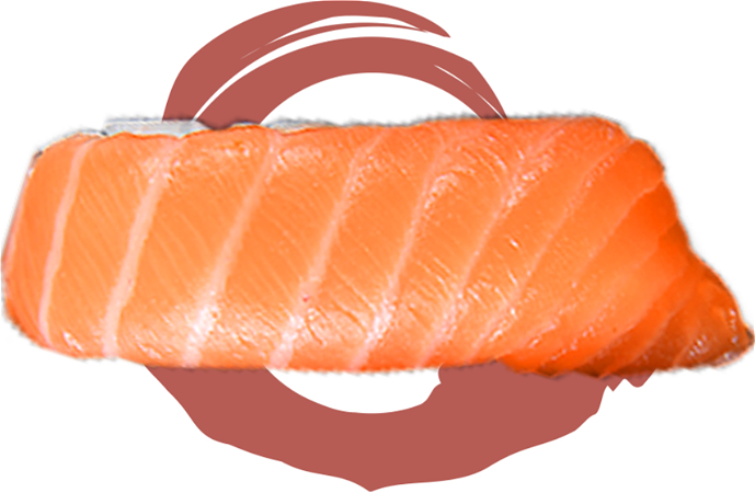 Salmon nigiri 2st