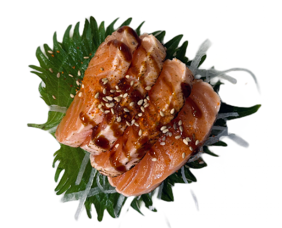 Salmon Tataki 