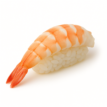 Sushi ebi nigiri
