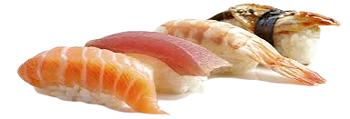 Sushi Box Nigiri