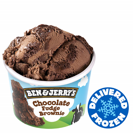 Ben en Jerry fudge brownie 100ml