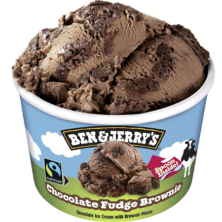 Ben & Jerry's Fudge Brownie 100ml