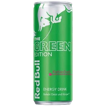 Red Bull Energy Drink cactusvrucht 250ml (groen)