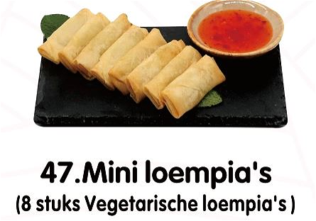 Mini Spring Rolls (6 pieces)