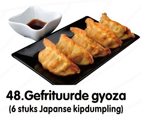 Fried Gyoza  (6 pieces)