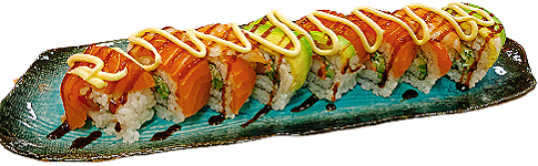 Rainbow Vis Roll