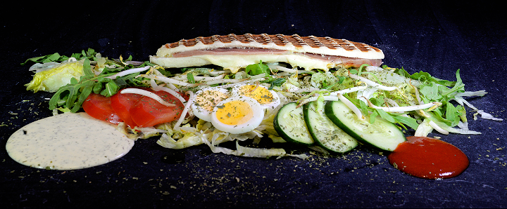 Panini tonijn