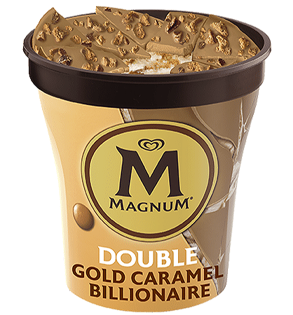 Magnum Pint Double Gold Caramel Billionaire 440ml
