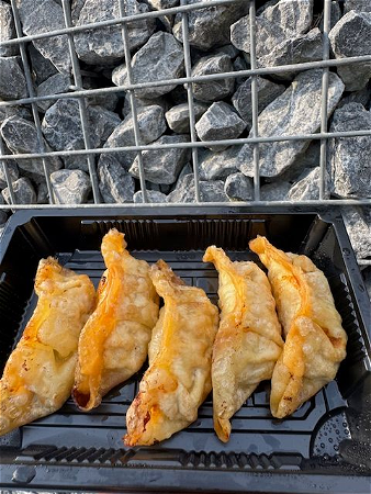 Gyoza Kip
