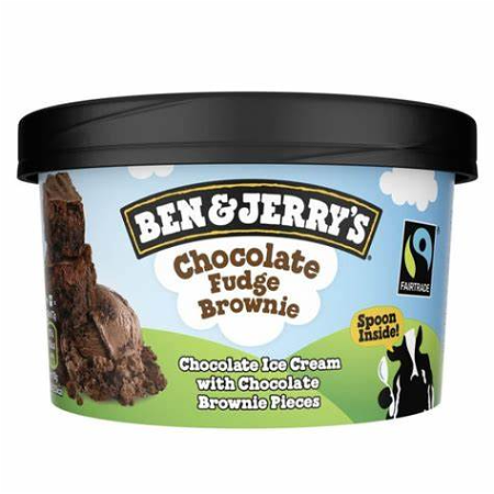 Ben & Jerry’s Chocolate Fudge Brownie 