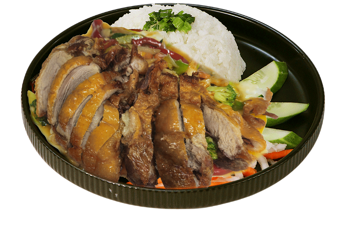 DUCK DISH